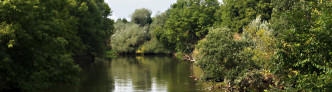 Rabeninsel - Blick auf Fluss